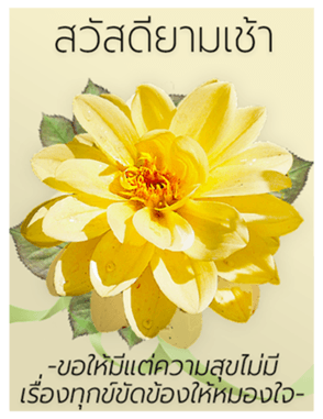 440584059