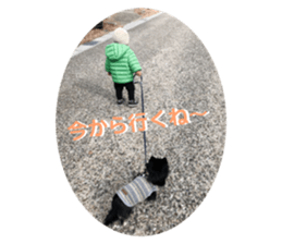 440590384
