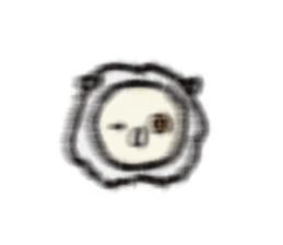 4406808