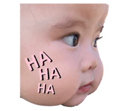 440729506