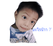 44079391