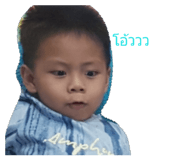 44079393