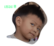 44079405