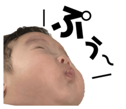 440802243