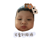 440808637
