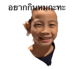 440830534