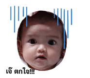440832753