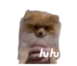 440840620