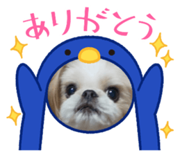 440890282