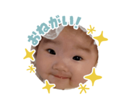 440894607