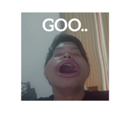 440905255