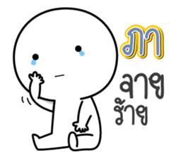 44092328