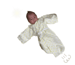 440951881