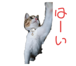 441037926