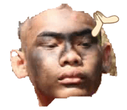 441038195