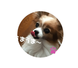441112969