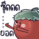 441116242