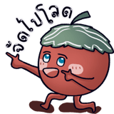 441116246