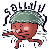 441116249