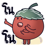 441116254