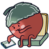 441116258