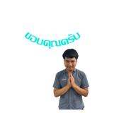 441121556