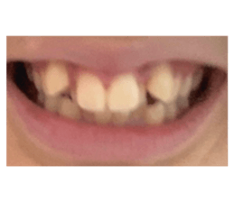 441134115