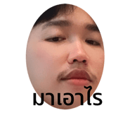 441138177