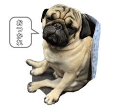 441152721