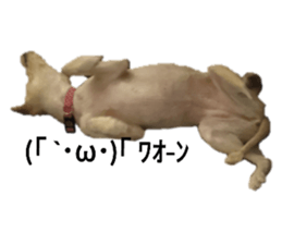441165819