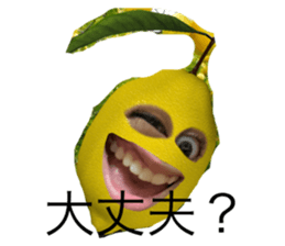 441171555