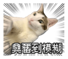 441198126