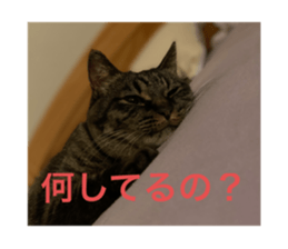 441199234