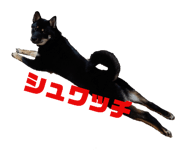 441215686