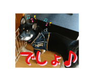 441215692