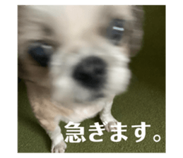 441240924