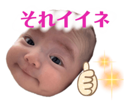 441247706