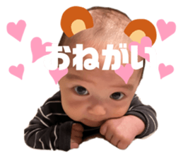 441247708