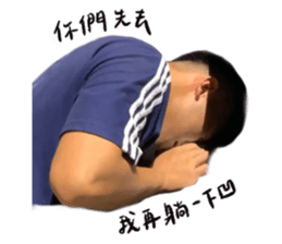 441251186
