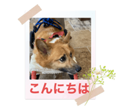 441478296