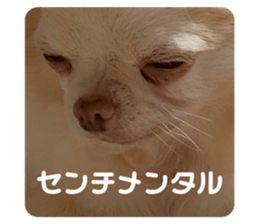 441478916