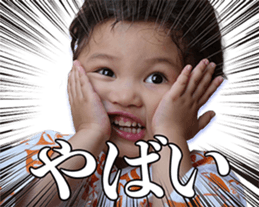 441611499