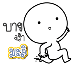 44163133