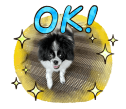 441659291