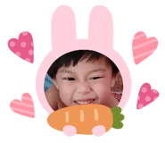 441737305