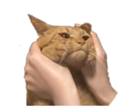 441775752