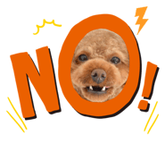 441871005