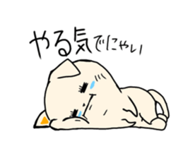 441992555