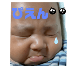 442005082