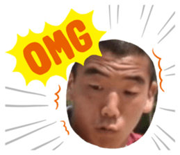 442028681